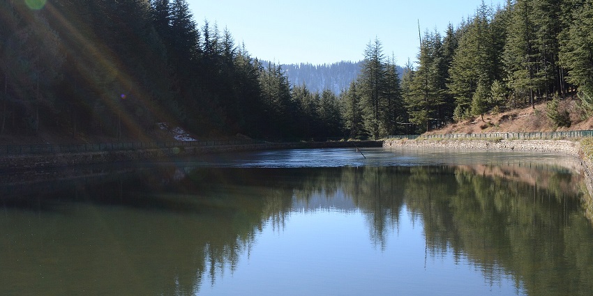 Tanni jubbar lake in Narkanda with a water body surrounded by hills and tall green trees