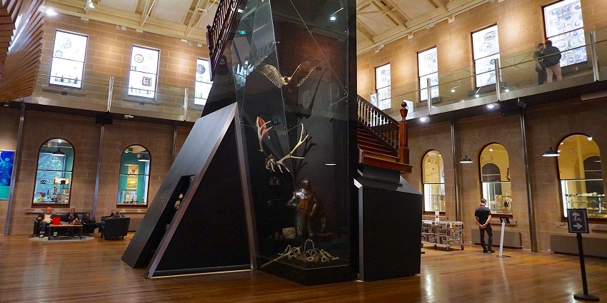 Tasmanian Museum and Art Gallery, one of the best places to visit in Hobart