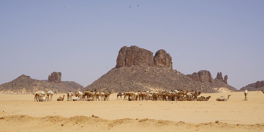 An image of sandstone formations and ancient rock art at Tassili n’Ajjer, a highlight among Algeria tourist places list.
