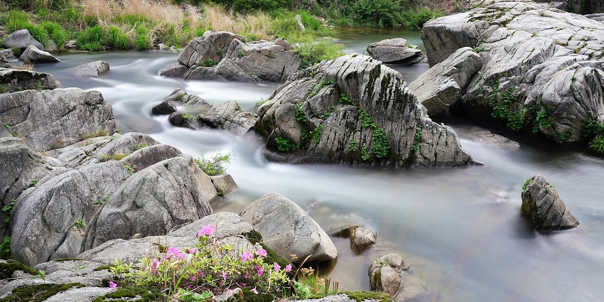 An image showing a rocky brook and stream resembling the Teuk Chhou Rapids in Cambodia.