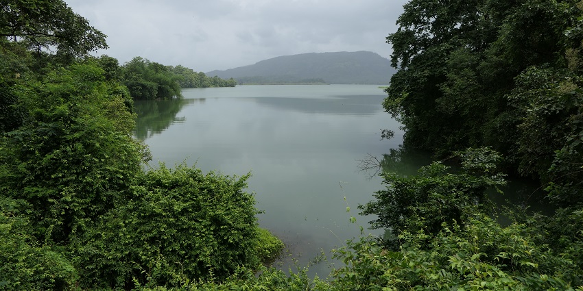 A picture of morning sunrise in Thane's Upvan Lake, a metropolitan city of lakes in India.