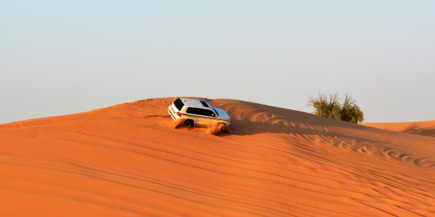 Mystical view of the golden Thar desert looking picture perfect during the noon hour