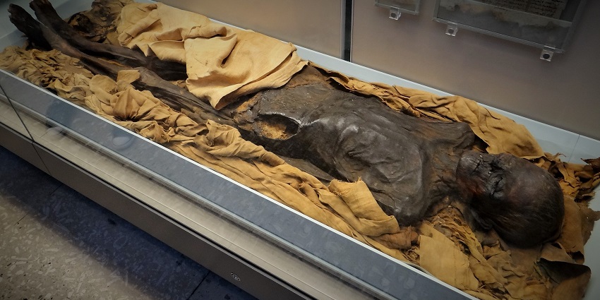 Uncover ancient Egyptian mummies and funeral traditions on the list of mummy museums.