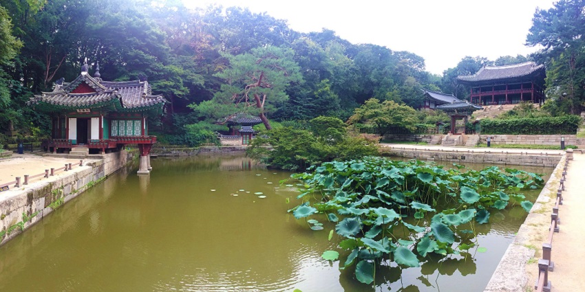 The Changdeokgung Secret Garden, in South Korea is amongst Asia’s Most Haunted Places