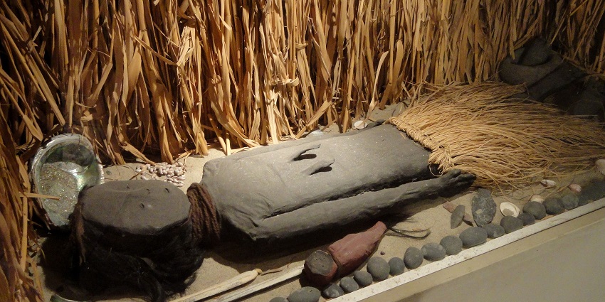 Ancient mummies preserved over time at The Chinchorro Mummies Museum, offering insights into early burial practices.