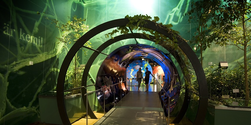 From science to storytelling, children's museums inspire young minds through play.