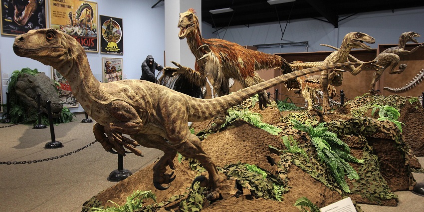 The Dinosaur Museum, Blanding, USA, features fossils, skeletons, and prehistoric life exhibits.