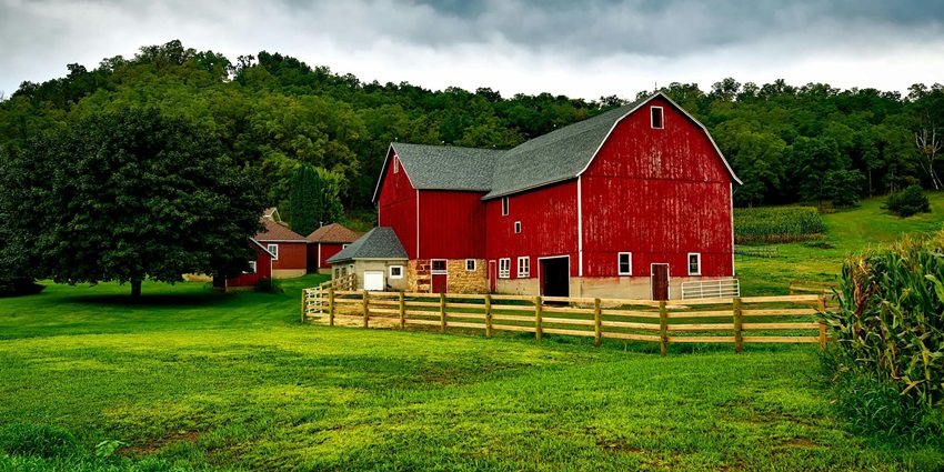 An image The Farm Byron Bay surrounded by lush fields and farm animals.