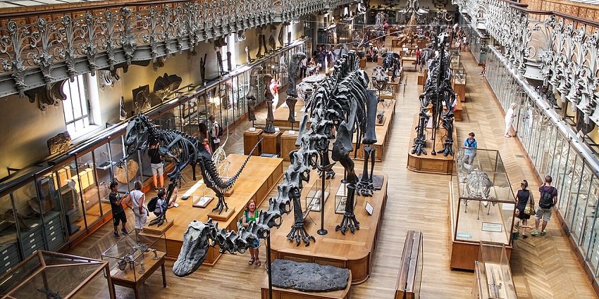 French National Museum blend education and adventure with hands-on exhibits and fossils.