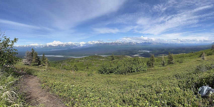 image of Denali from the Kesugi Ridge Trail, with a clear view of the mountain landscape.