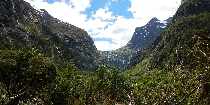An image of Mackinnon Pass on the Milford Track with rugged slopes and a marked trail.