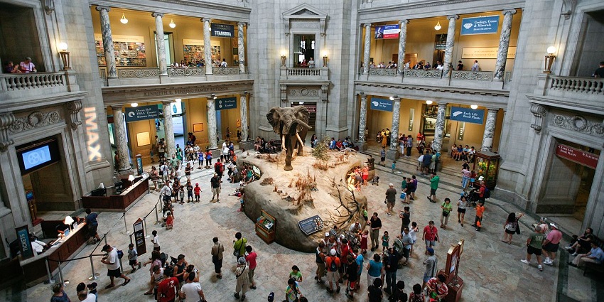 Step into the National Museum of natural history and journey through time and science.