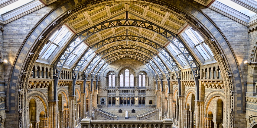Experience the grand entrance of the Natural History Museum through a virtual museum tour