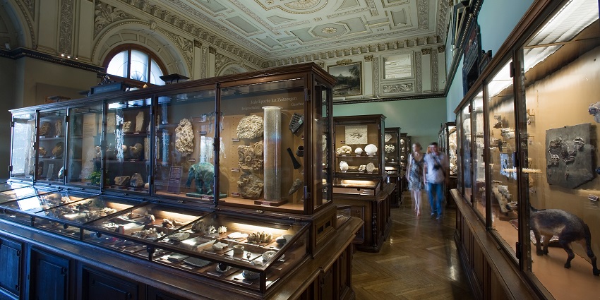 From meteorites to mammoths, natural history museums unveil Earth's hidden secrets.