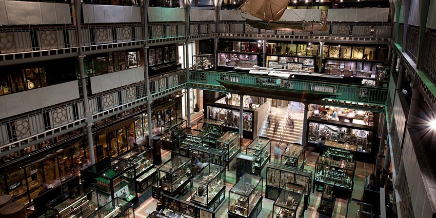 An inside view of the Pitt Rivers Museum, one of the top tribal museums in the world.