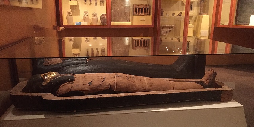 Explore a remarkable collection of ancient mummies and fascinating burial artifacts.