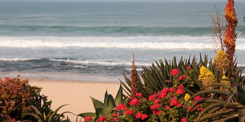A coastal landscape of Jeffreys Bay Africa, sandy land, small houses and vegetation.