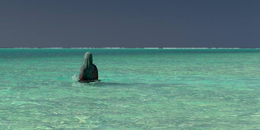 An image of a secluded tourist beach with a lush, green backdrop and gentle waves.