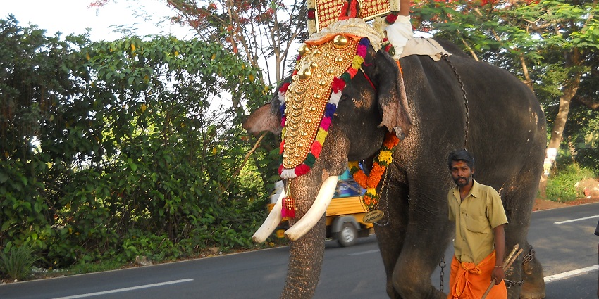 Thrissur Pooram celebration in Kerala, one of the famous festivals in May in India.