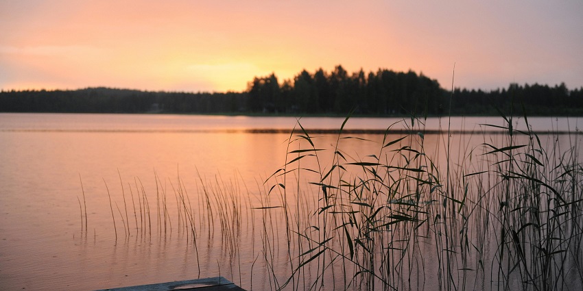 An image of Tikli Bottom Lake, a beautiful lake in Gurgaon, perfect for travelers seeking relaxation and nature's beauty