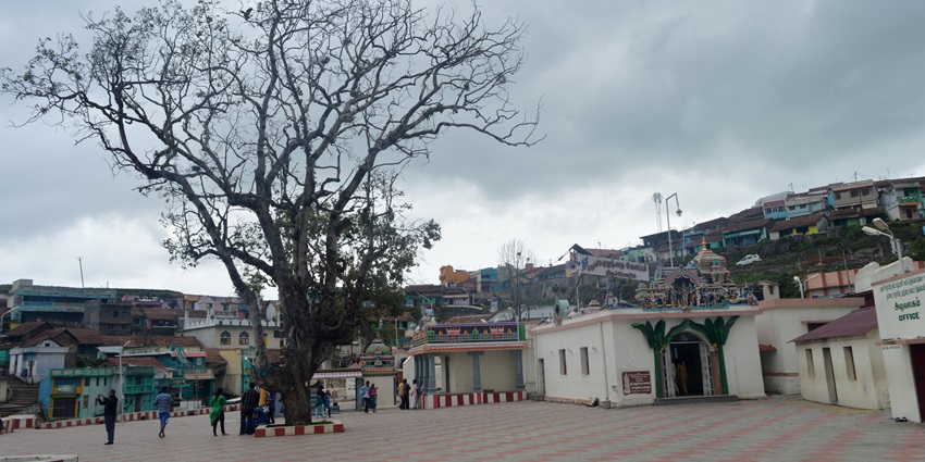 Visit the vibrant Tirukkovil Village and stroll along the beautiful houses around.
