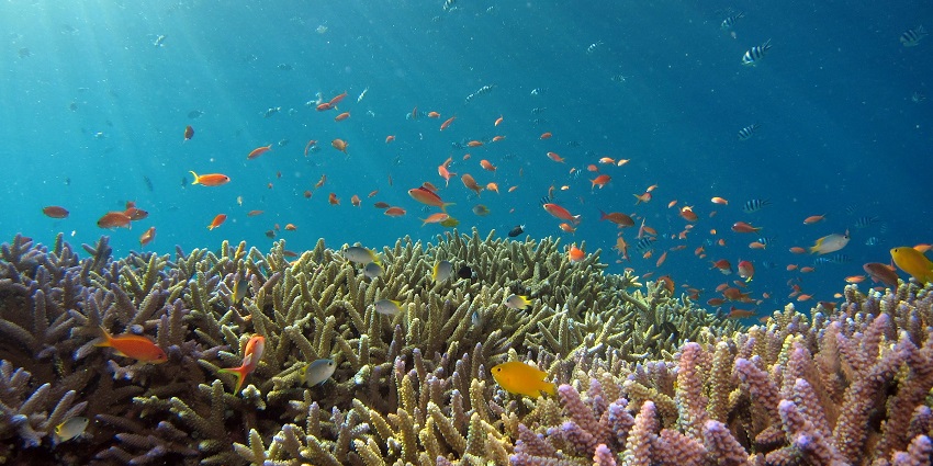 Representation image of Toyapakeh in Nusa Penida with clear turquoise waters