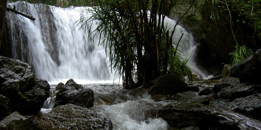 An awe-inspiring view of Tranh Stream featuring frothy waters and lush green vegetation.