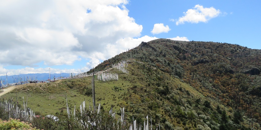 An image of a winding road through the forest trees showing the Chele La Pass, with a long open road ahead