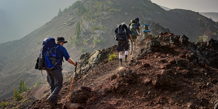 View of a group of trekkers in the verdant meadows of the national park