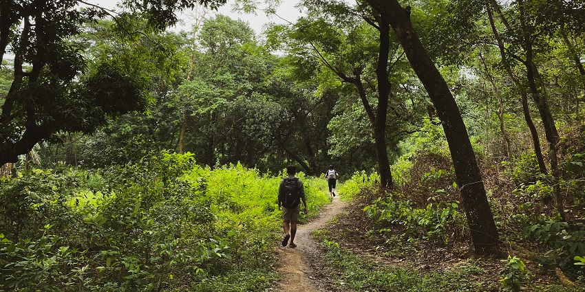 A group of hikers walking through a dense jungle trail in Ba Be National Park, with towering trees and lush vegetation