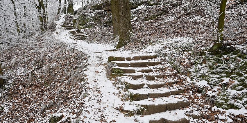 Narrow trail with stairs covered in snow and dry grass, fallen leaves and trees all white