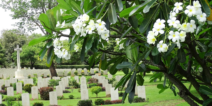 Tranquil view of Trincomalee War Cemetery with aligned graves and greenery