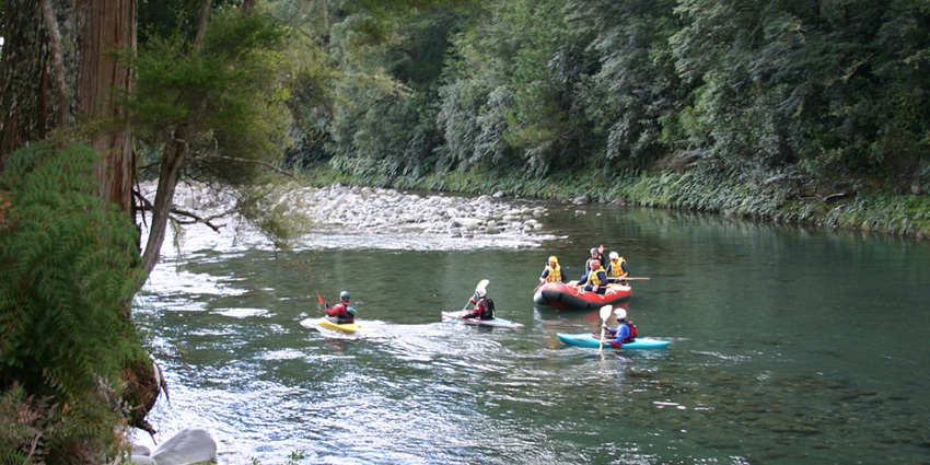 A group of adventure seekers kayak in the shallow and crystal clear waters of a river.
