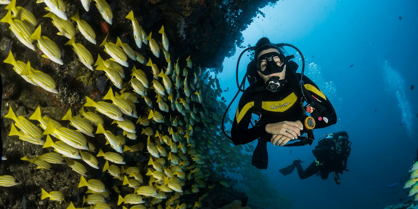 Person snorkelling with underwater gear inside the deepest lake in Michigan, Torch Lake, and multiple fishes passing by.