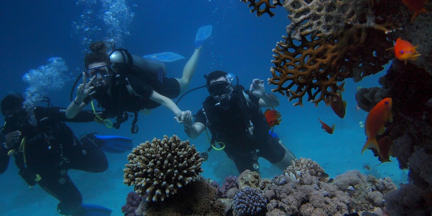 Enjoy Railay Beach snorkelling as you glide over coral reefs with breathtaking underwater views.