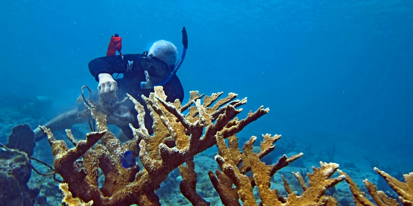 Things to do for kids in Maldives include discovering vibrant coral reefs and colorful fish while snorkeling in crystal-clear waters.