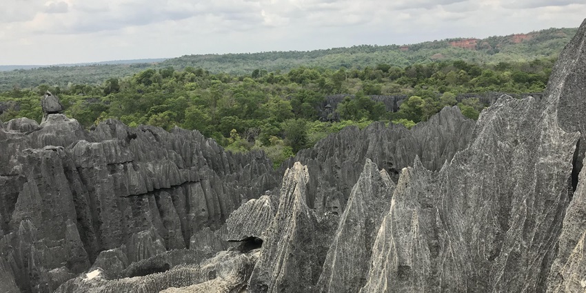 A dramatic limestone forest with razor-sharp rock formations and unique wildlife species