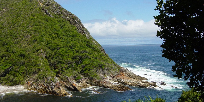 A rocky coastal hill with dense vegetation at the Tsitsikamma National Park, under a clear sky.