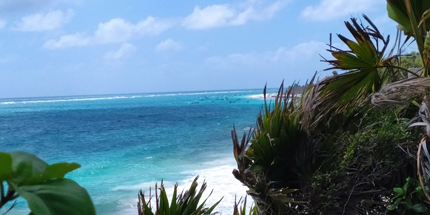 Majestic view of the Tulum Beach shore in Mexico, with the cleanest beaches in the world.