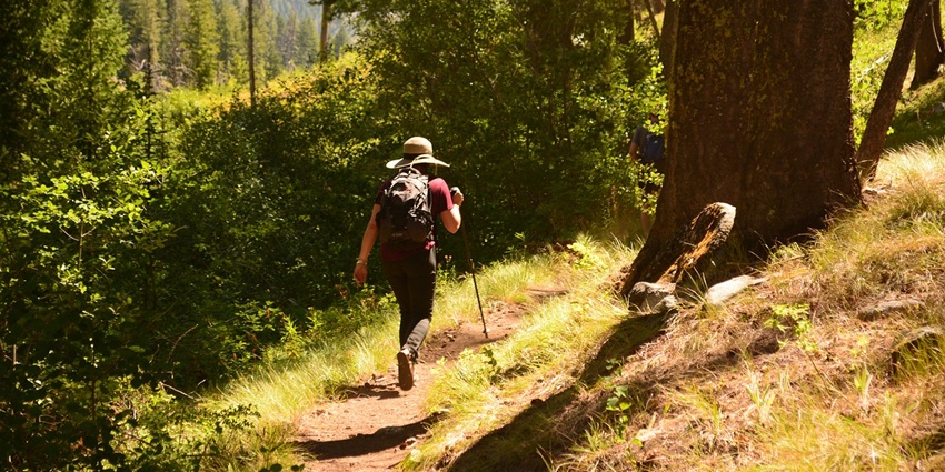 Hikers enjoying the scenic trail of Udaan Dongor surrounded by dense forests.