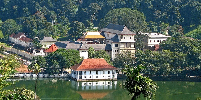 A view of the beautiful landscape from the Udawatta Kele Sanctuary