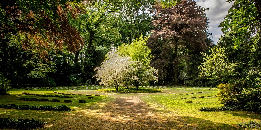 Explore Ukiam picnic spots, the tri-junction of nature's charm