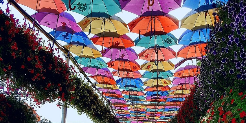 A whimsical walkway covered with vibrant, colorful umbrellas creates a magical ambiance.