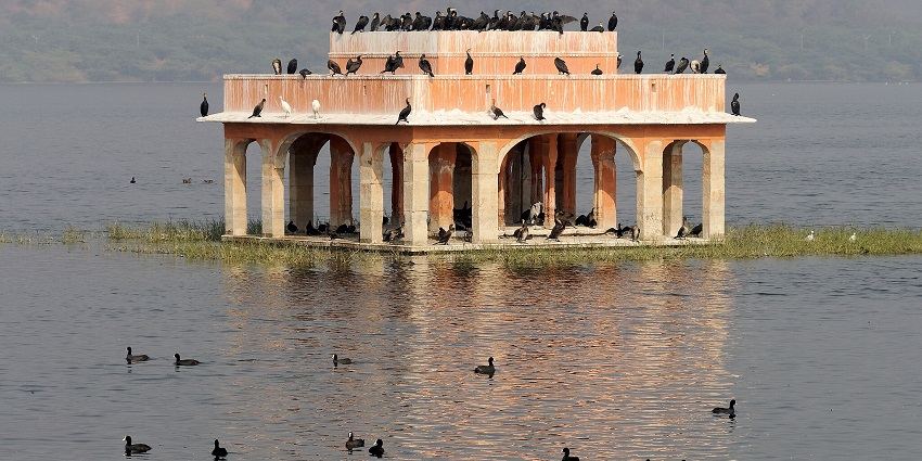 An image of Ummed Sagar with clear waters - one of the lakes in Jodhpur, Rajasthan.
