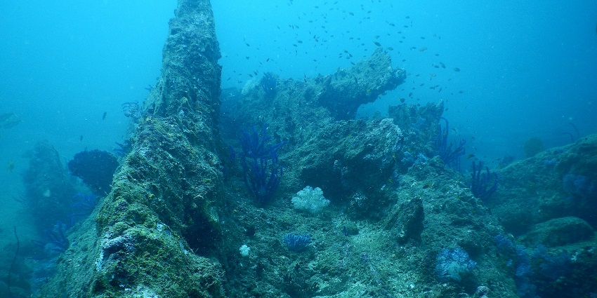 Image of lovely underwater view of Unawatuna Reef - best places for scuba diving