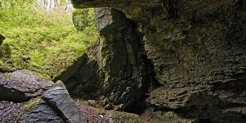An image of a cave with lush greenery resembling the quiet corners of Usgao Caves.