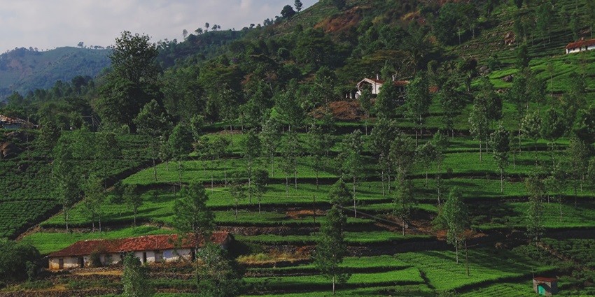 A view of Kotagiri, one of the serene hill stations in South India, during summer.