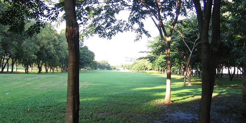 Relax at Vachirabenjatas Park, a green oasis in the heart of Bangkok, ideal for picnics and cycling.