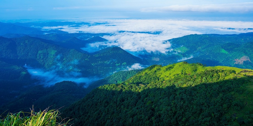 An image of Vagamon meadows in Kerala, surrounded by its misty valleys, pine forests.