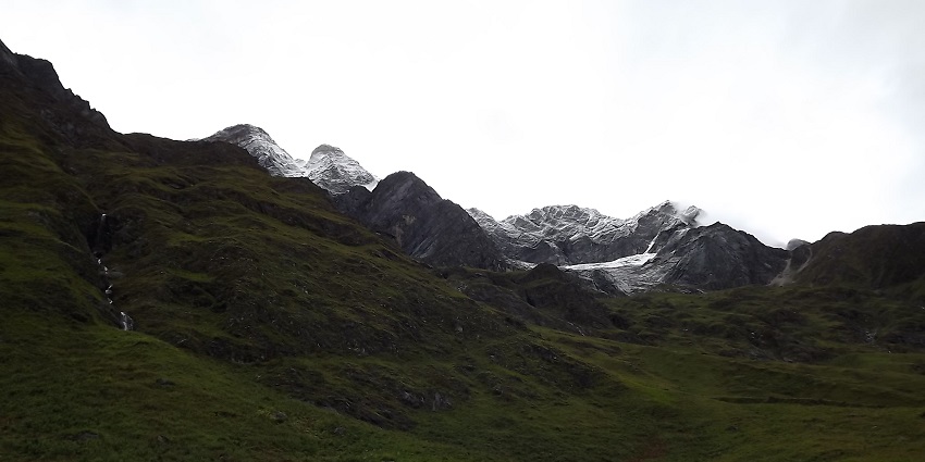 Colourful flowers bloom in vast green valley, one of the major attractions near Badrinath